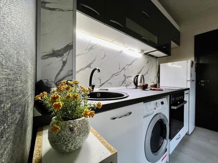 Apartament Sof Apartment's *
